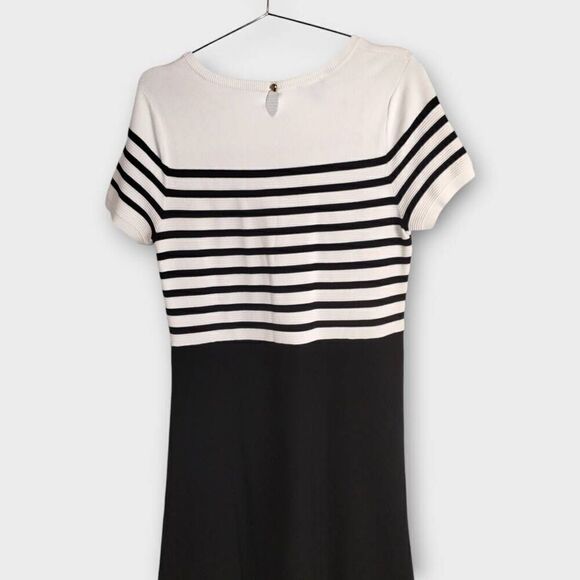 Talbots Womens Dress Sz‎ Lp White Black Striped ALine Business Stretch Academia - Picture 5 of 10